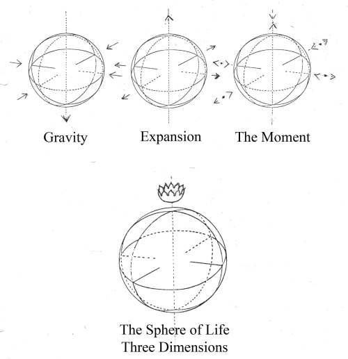 The Sphere of Life - Three Dimensions