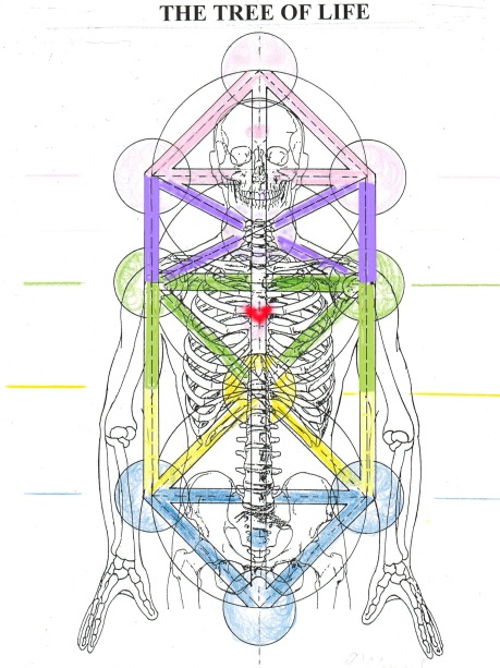 💞Tree of Life - Skeleton   