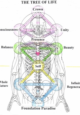 The Tree of Life The Ten Dimensions of Life