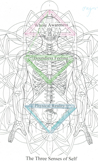 Three Seneses of Self 