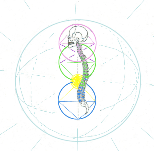 Spine in sphere of life 