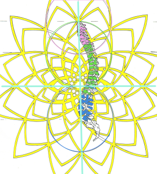 Spine in geometry colored 