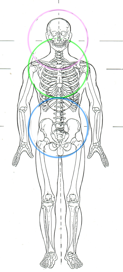 THE THREE SENSES OF SELF