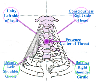 CENTER OF THROAT.colored CENTER OF THROAT.colored