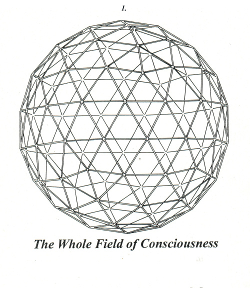 #1 The Whole Field of Consciousness copy