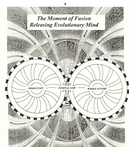 #9. The Moment of Fusion