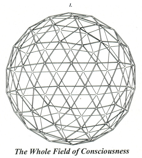 #1 The Whole Field of Consciousness copy