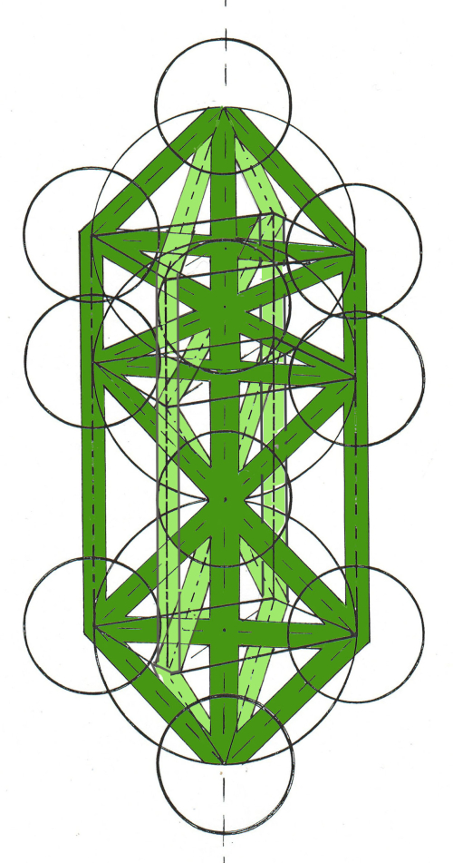 #10 4-D -  NEW Matrix front AND back