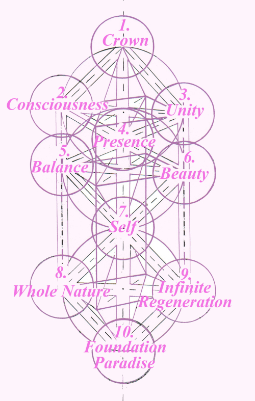 The Ten Dimensions in Matrix copy