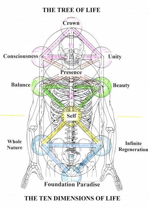 The Tree of Life The Ten Dimensions of Life with blue colored in copy
