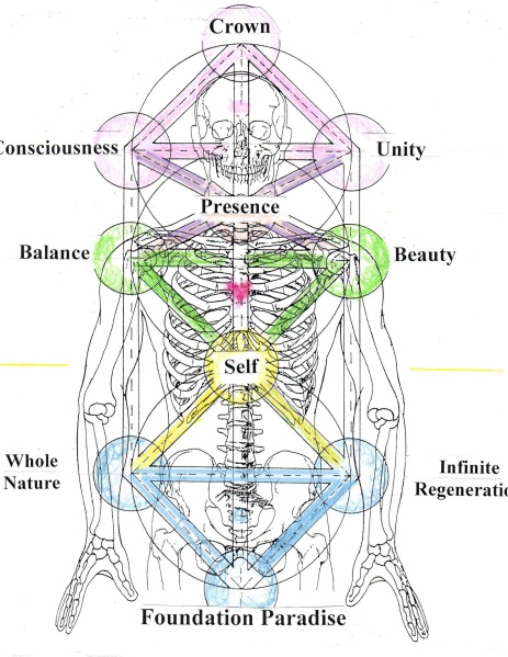 The Tree of Life The Ten Dimensions of Life