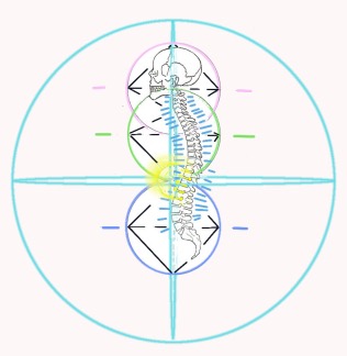 Spine with angles in sphere of life