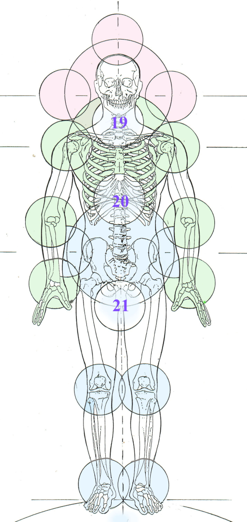 21 Centerings biomechanical (1) 21 Centerings biomechanical (1)