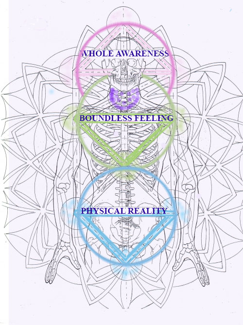 6a014e888989d9970d0264e2e9fe35200d-500wi.jpg (2)