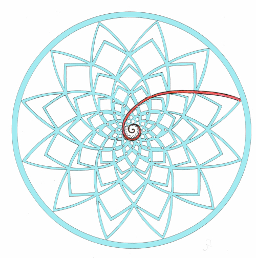 Mvmt with spiral Mvmt with spiral