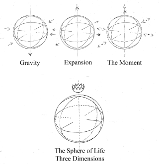 The Sphere of Life - Three Dimensions