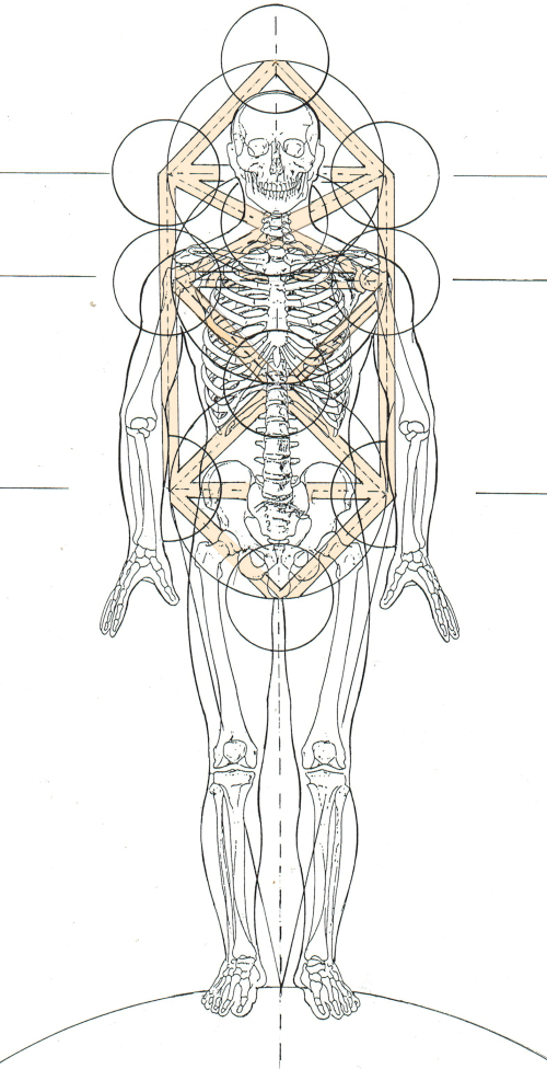 The Matrix of Balance and the Tree of Life