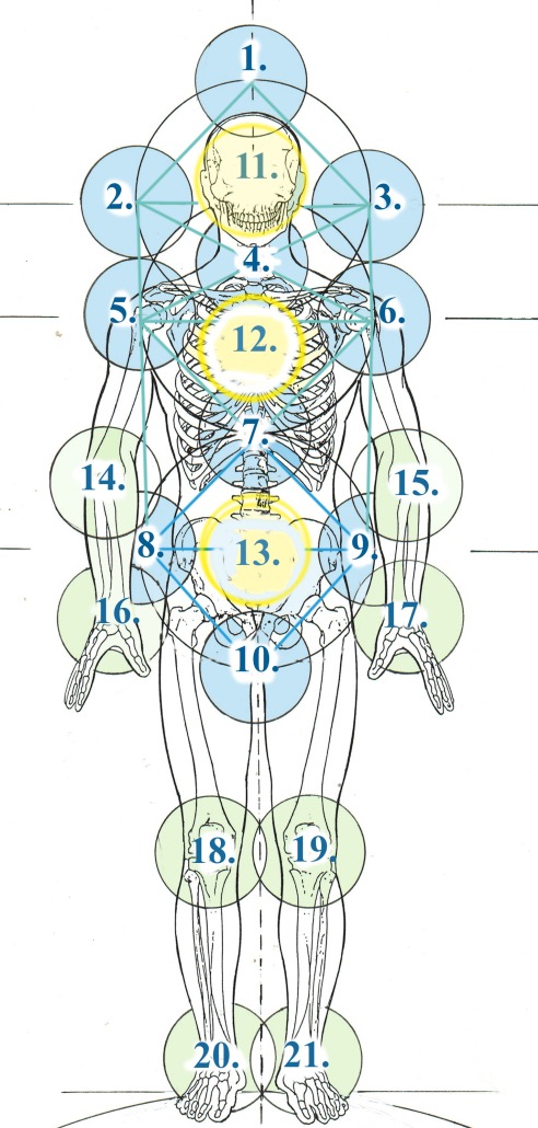 21 CENTERINGS NEW. with color