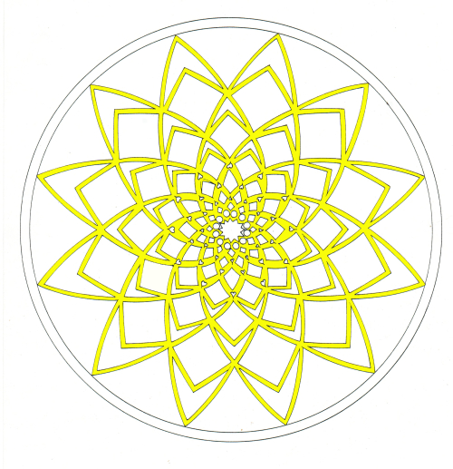 Movement of life with color Movement of life with color