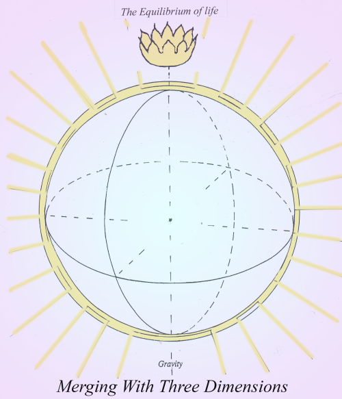 #33. Merging with three dimensions
