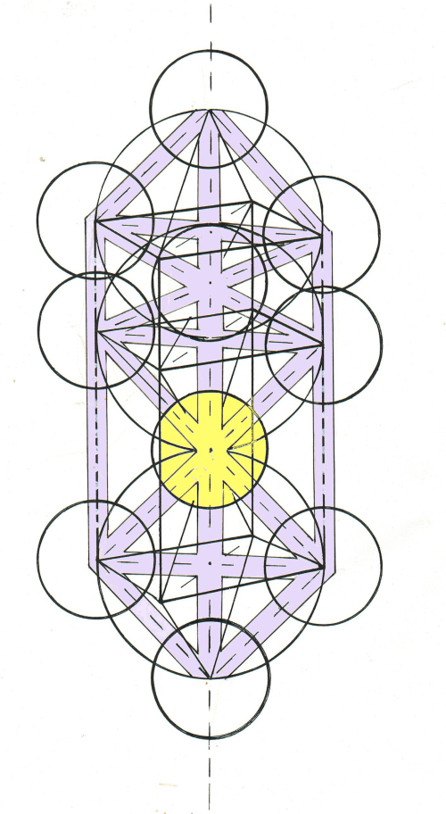 #8 4-D  Matrix right left