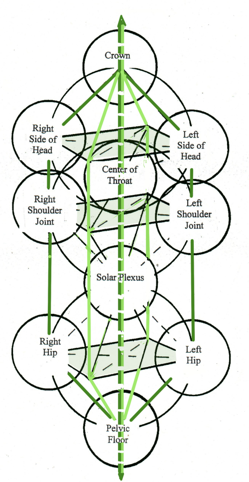 #7 4-D - Crown - Matrix with 10 Dim. body parts
