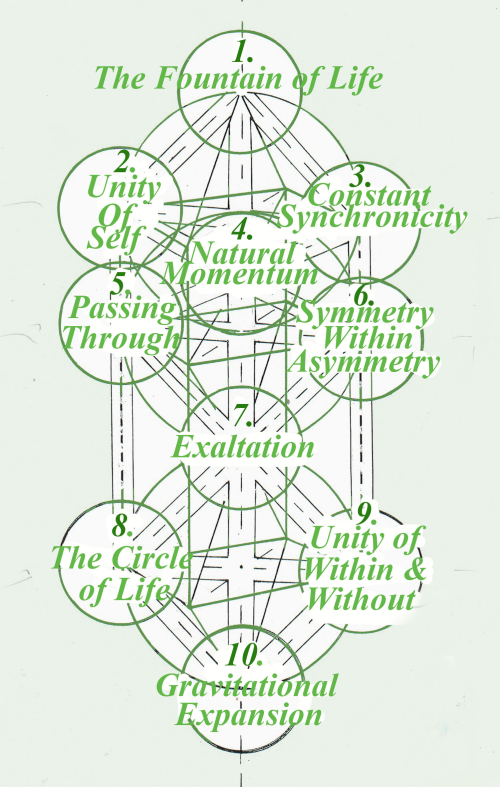 MATRIX - Ten PrinciplesS copy 2