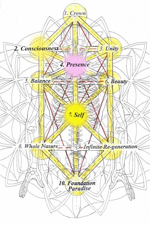 P 45 the moment of life 